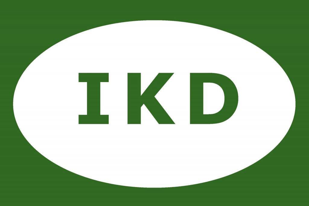 DETECTIVES CASTELLON